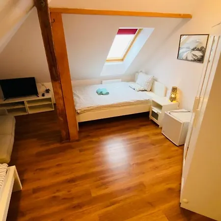 Pod Kokšínem Hotel