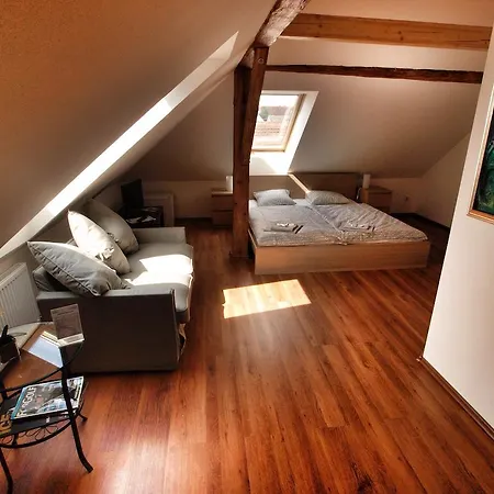 Pod Kokšínem Hotel